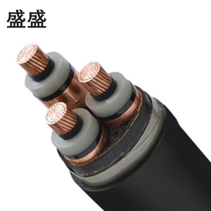 盛盛 铜芯铠装电缆 YJV22 3*50 米