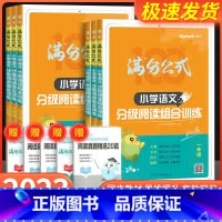 小学语文分级阅读组合训练 小学四年级 [正版]星火小学语文阅读理解专项训练书一二三四五六年级上下册满分公式阅读分级组合训