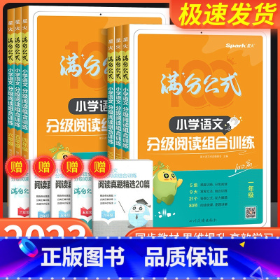 小学语文分级阅读组合训练 小学四年级 [正版]星火小学语文阅读理解专项训练书一二三四五六年级上下册满分公式阅读分级组合训