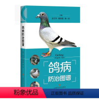 [正版]鸽病防治图谱(精) 赵宝华 养鸽参考书 50种鸽常见病 鉴别方法介绍详细 综合防治技术 图书籍 上海科学技术