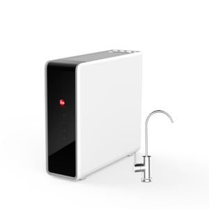 美国百年品牌 瑞美净水器RWRR-2100E1 800G大通量