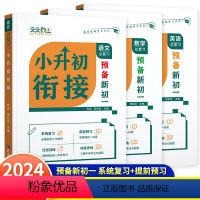 小升初衔接[预备新初一]语文+数学+英语(全3本) 小学升初中 [正版]2024新版天天向上预备新初一小升初衔接七年级语