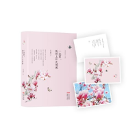 正版新书]一念慈,抵得上日光倾城云水禅心9787514336726