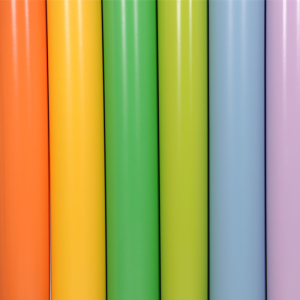 扬子(YANGZI)舞蹈教室专用地胶地垫YZ-GMDJ002