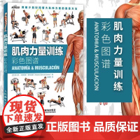 肌肉力量训练彩色图谱 肌肉锻炼指南 肌肉训练图解教程书籍 运动健身健美训练书健身书籍 科学运动健美增肌 人民邮电出版社