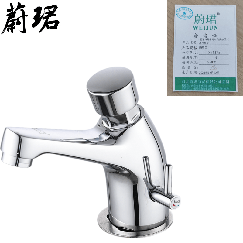 蔚珺冷热水延时龙头按压式通用型个