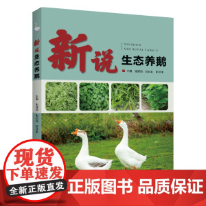 新说生态养鹅