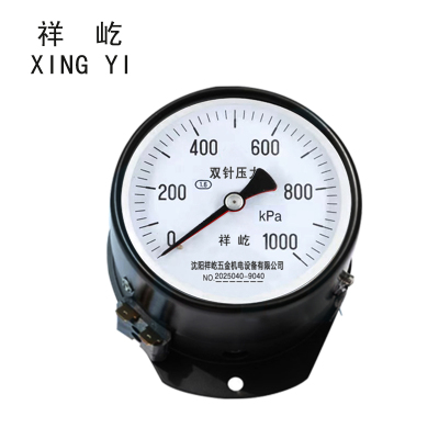 祥屹 双针双管压力表 YYS-JY-100Z 24V轴向 台