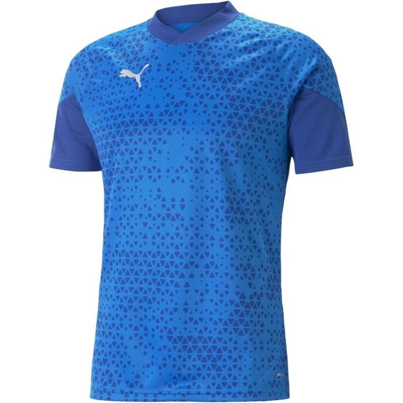 彪马(Puma)男士运动T恤透气速干压缩训练服团队杯比赛打底衫户外