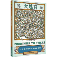 [M]大迷宫-9787571711795