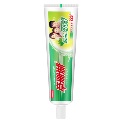 草珊瑚228克精品牙膏