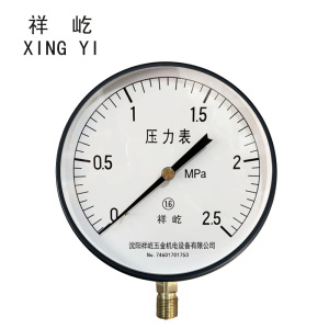 祥屹 压力表 Y250 块