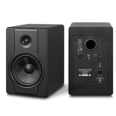 润普 监听音箱 RP-FVH12