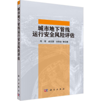 音像城市地下管线运行安全风险评估朱伟 等 著