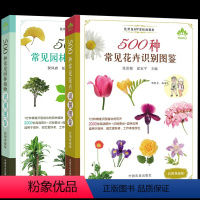 [正版]彩图典藏 全2册500种常见花卉园林植物识别图鉴+500种常见园林植物识别图鉴 高清彩图助你快速识别原植物鉴别