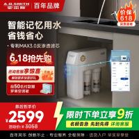 AO史密斯净水器全时高水效专利MAX3.0反渗透滤芯1.6升/分钟升级款厨下式直饮净水机R1600HWi-EE