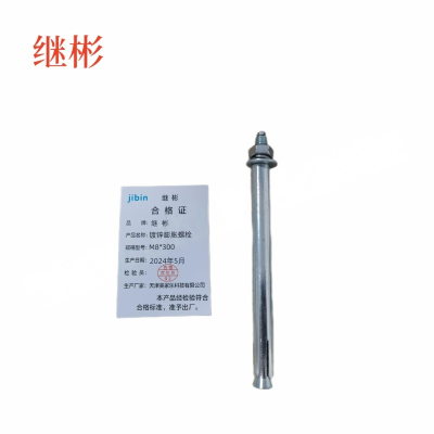 IBIN/继彬 GB22795-表5 膨胀螺栓 碳钢 镀白锌 M8×300 1个