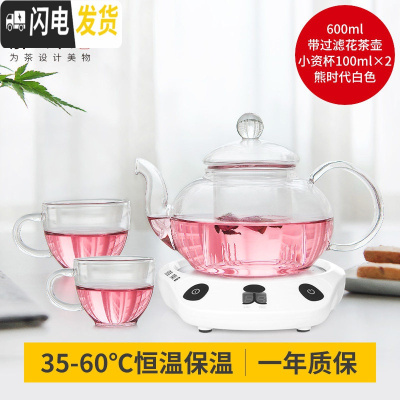 三维工匠耐热玻璃泡花茶壶套装家用泡茶壶花茶茶具套装带过滤茶具杯子 圆壶600+熊时代白+2小资杯