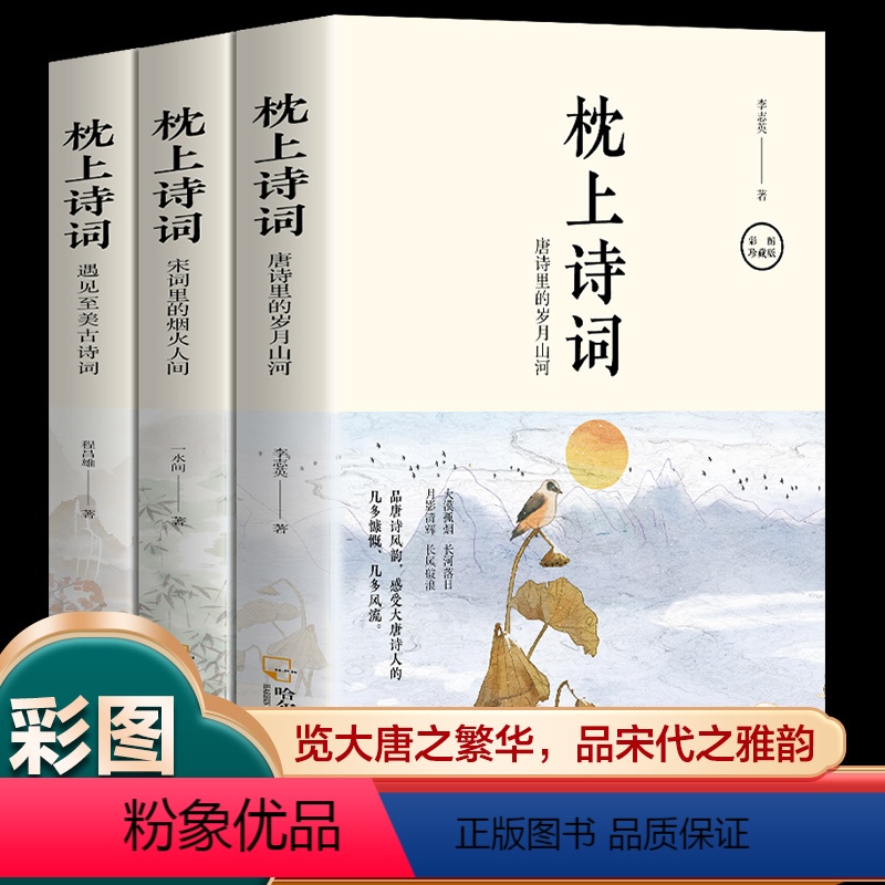 [正版]枕上诗词系列书全套3册枕上诗词唐诗里的岁月山河+宋词里的烟火人间+遇见至美古诗词枕上诗书一诗一词一故事诗词歌赋