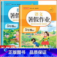 [五年级 2册]暑假作业 语数 小学五年级 [正版]2023新版 五年级下册暑假作业 五年级升六年级语文数学英语全套3册