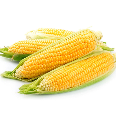 【云南苞米】品牌精选大全_云南苞米【品牌推荐|图片|价格】-苏宁易购