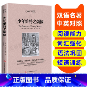 [正版]读英语名著 少年维特之烦恼 英汉双语读物 英语书籍名著双语版英语名著阅读课外读物小学初中英语读物中英双语 少年