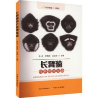 音像长臂猿饲养管理指南陈武,李梅荣,白亚丽主编