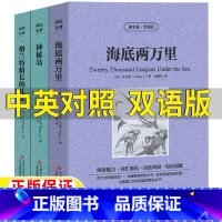 [正版]海底两万里神秘岛格兰特船长的儿女英文版原版中文版英汉互译中英文双语对照读名著学英语系列凡尔纳海洋三部曲张晨光译
