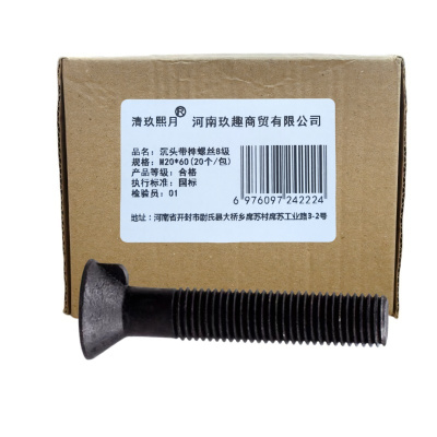 清玖熙月 沉头带榫螺丝8级 M20*60(20个/包) 包
