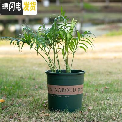 三维工匠塑料树脂矮胖加仑花盆加厚绿萝月季多肉特大号口径 矮款(绿色)1加仑[10个装]10送2 不含托盘花盆容器