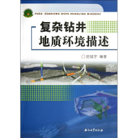 音像复杂钻井地质环境描述范翔宇