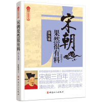 音像宋朝果然很有料(第9卷)张晓珉