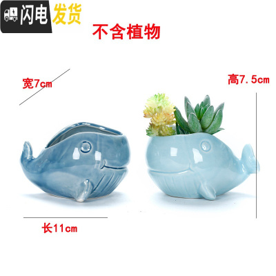 三维工匠创意多肉陶瓷花盆批發 中号家用植物瓷盆 卡通萌萌可爱阳台个性小 鲸鱼一对 中等花盆容器