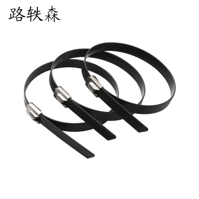 路轶森 304不锈钢包塑自锁扎带5.6*150mm 条