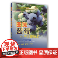 图说蓝莓生产关键技术 于强波 刘淑芳 孟凡丽 编 9787565527722 中国农业大学出版社