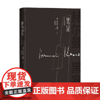 骏马山庄 赫尔曼·黑塞 著 文学
