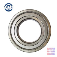 SKSM深沟球轴承6203ZZCM-P