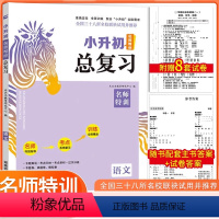 语文 小学升初中 [正版]2024木头马小升初名师帮你总复习语文小考必刷题名校冲刺真题考试卷小学6六年级语文毕业总复习知
