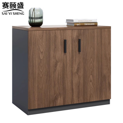 赛颐盛矮柜二门台