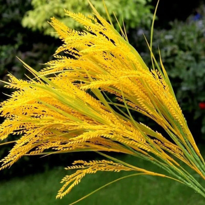 维诺亚真黄色稻谷水稻仿真麦穗稻穗农作物花卉大麦小麦塑料手拿舞蹈
