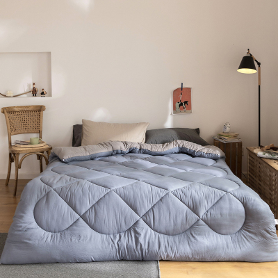 婵思马卡龙双拼冬被冬季保暖透气被芯