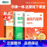 语文 上 九年级/初中三年级 [正版]旗舰 云书中学宝典初三语文数学英语物理化学 初一二三上下册级辅导书籍全国通用高频考