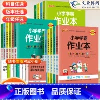 科学[教科版] 四年级下 [正版]2024春小学学霸作业本一年级二年级三年级四五六年级上册下册语文数学英语人教版北师苏教