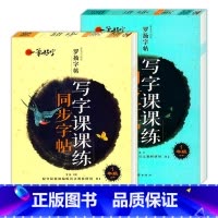 写字课课练同步字帖 1年级上下册 [正版]罗扬字帖课堂笔记天天练练字帖人教版同步字帖一课一练硬笔钢笔临摹一二三四五六七八