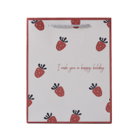 京通瑞达 收纳袋 JTRD-SND 个