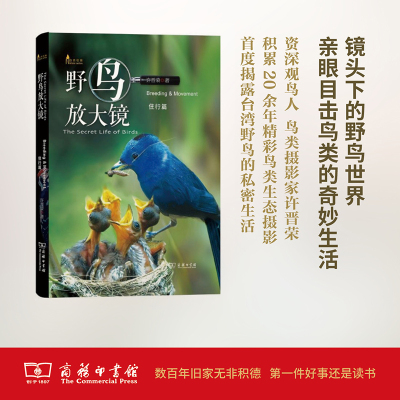 野鸟放大镜:住行篇 许晋荣 商务