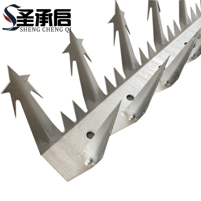 圣承启 防爬倒刺 大号根