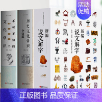 [正版]3册 新编说文解字+历史文化常识全知道+不可不知的3000个文化常识书籍 国学经典诵读画说汉字 汉字真好玩汉字起