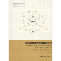 音像城市综合体的协同效应研究——理论·案例·策略·趋势王桢栋