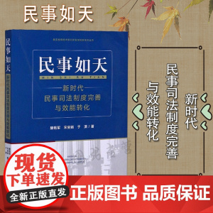 正版 民事如天 新时代民事司法制度完善与效能转化 滕艳军 宋宝娟 于潇 中国检察出版社 司法理念 司法工作的专业化、中立